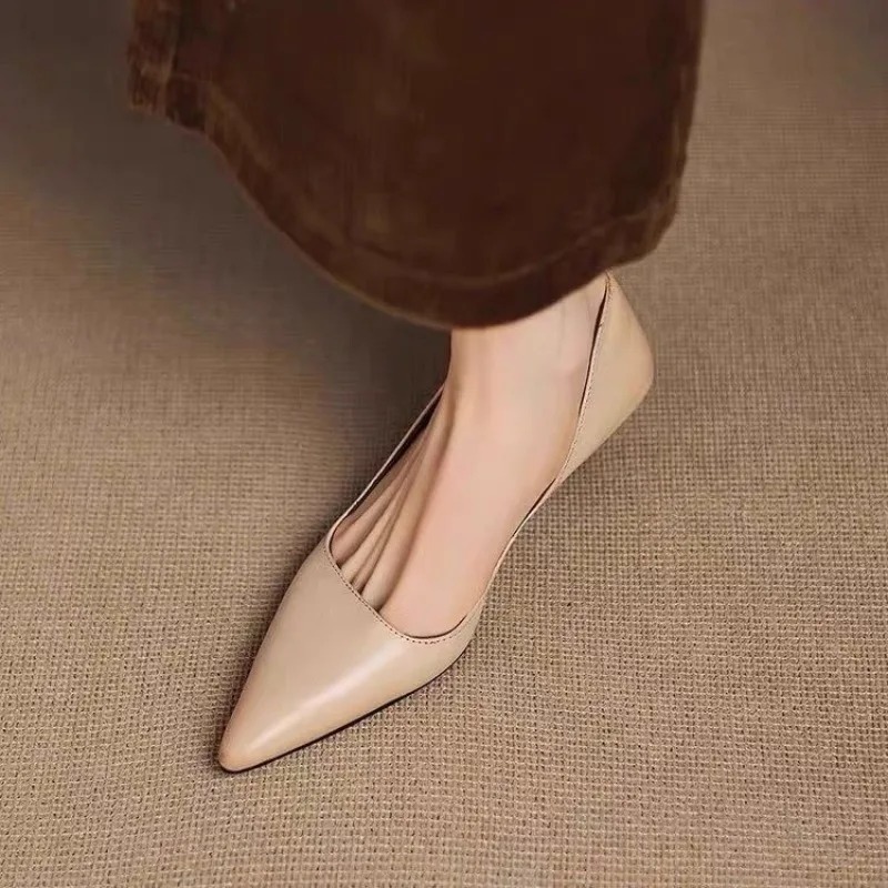 Women's Pointed Toe Stiletto H - Women'S Shoes And Accessories review and price
